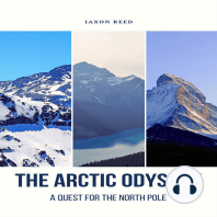 The Arctic Odyssey