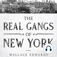 The Real Gangs of New York