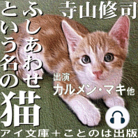 ふしあわせという名の猫