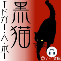 黒猫