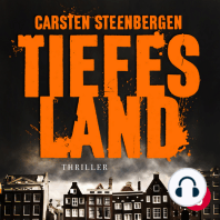 Tiefes Land, Band 1 (Amsterdam-Thriller)