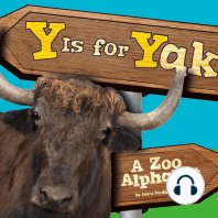 Y Is for Yak
