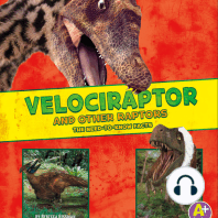 Velociraptor and Other Raptors