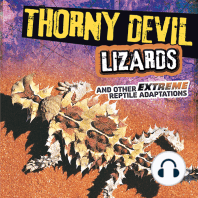 Thorny Devil Lizards and Other Extreme Reptile Adaptations