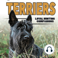 Terriers