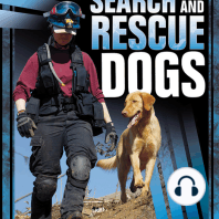 Search and Rescue Dogs