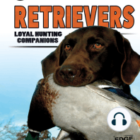 Retrievers