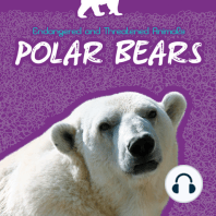 Polar Bears