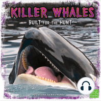 Killer Whales