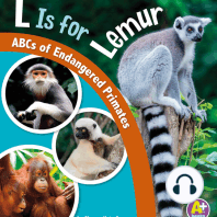 L Is for Lemur