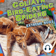 Goliath Bird-Eating Spiders and Other Extreme Bugs