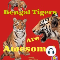 Bengal Tigers Are Awesome!