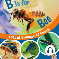 B Is for Bees