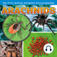 Arachnids