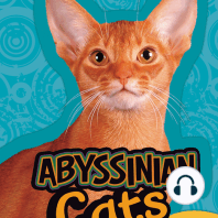 Abyssinian Cats