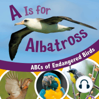 A Is for Albatross