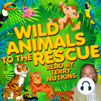 Wild Animals to the Rescue