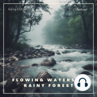 Flowing Waters in Rainy Forest