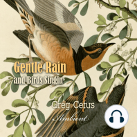 Gentle Rain and Birds Singing