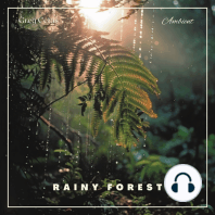 Rainy Forest