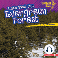 Let's Visit the Evergreen Forest
