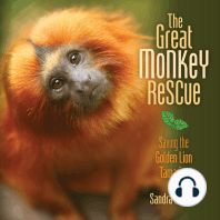 The Great Monkey Rescue