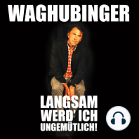 Stefan Waghubinger, Langsam werd' ich ungemütlich!