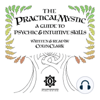 The Practical Mystic