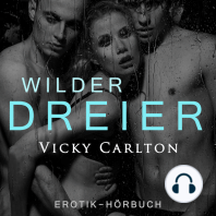 Wilder Dreier. Erotik-Hörbuch