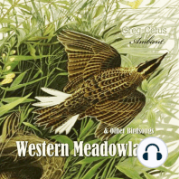 Western Meadowlark and Other Bird Songs