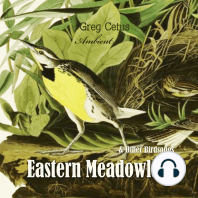 Eastern Meadowlark and Other Bird Songs