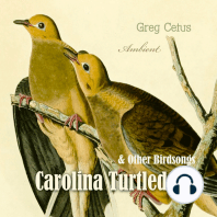 Carolina Turtledove and Other Birdsongs