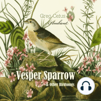 Vesper Sparrow and Other Bird Songs