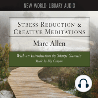 Stress Reduction & Creative Meditations