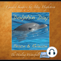 Dolphin Day
