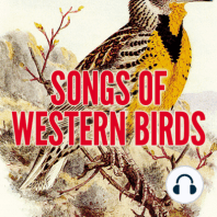 Songs of Western Birds