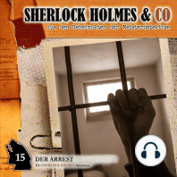 Sherlock Holmes & Co, Folge 15