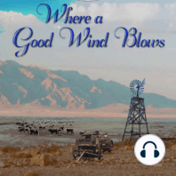 Where A Good Wind Blows