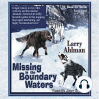 Missing In The Boundry Waters