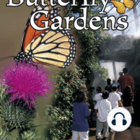 Butterfly Gardens