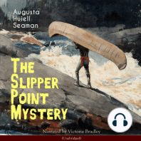 The Slipper Point Mystery