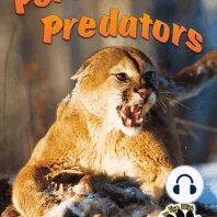 Perfect Predators