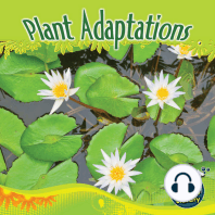 Plant Adaptations