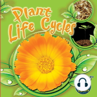 Plant Life Cycles