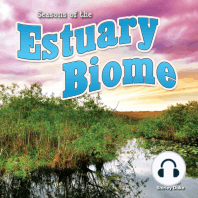 Seasons Of The Estuary Biome