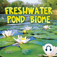 Seasons Of The Freshwater Pond Biome