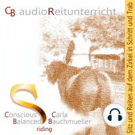 Cb Audio Reitunterricht