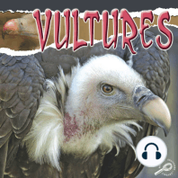 Vultures