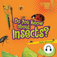 Do You Know about Insects?