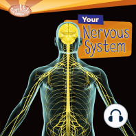 Your Nervous System